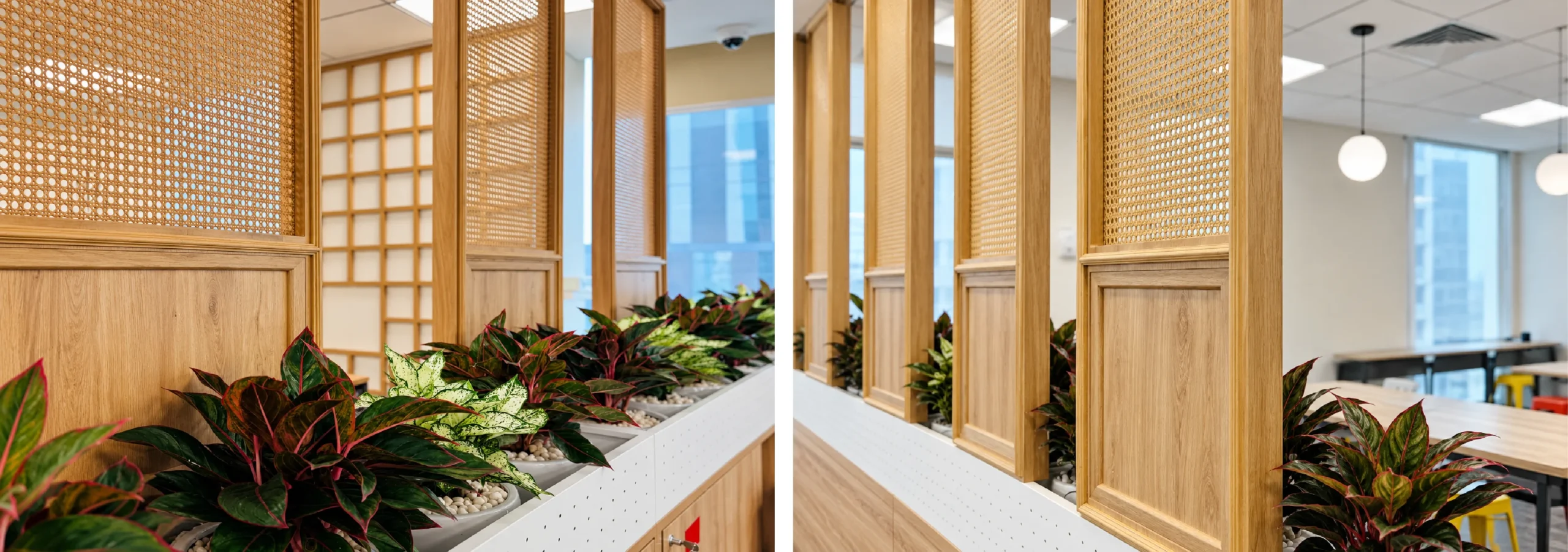 Hệ vách mây đan kết hợp cây xanh tại JVL Office